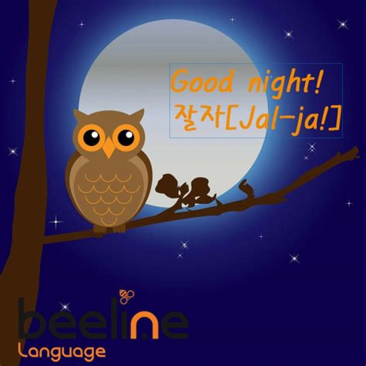 Embracing the Night: A Journey into "Good Night in Korean"