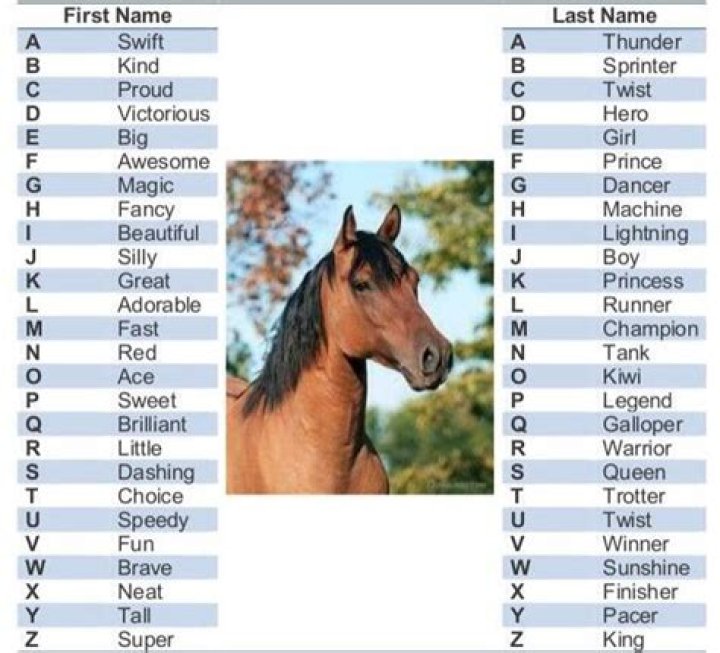 Great Horse Names: A Comprehensive Guide to Choosing the Perfect Name for Your Equine Friend