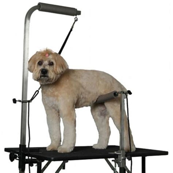 Top-Rated Groomers Helper Jobs & Resources