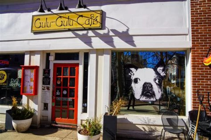 Discover the Unique Charm of Gulu Cafe