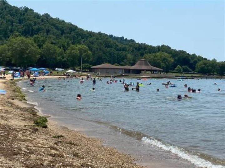 Discovering the Wonders of Guntersville State Park