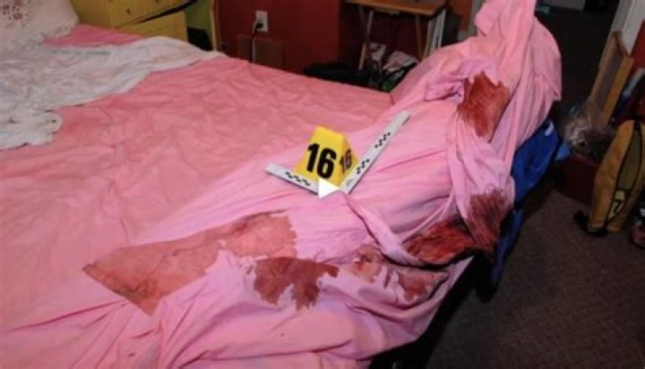 Unraveling the Mystery: Gypsy Rose Crime Scene