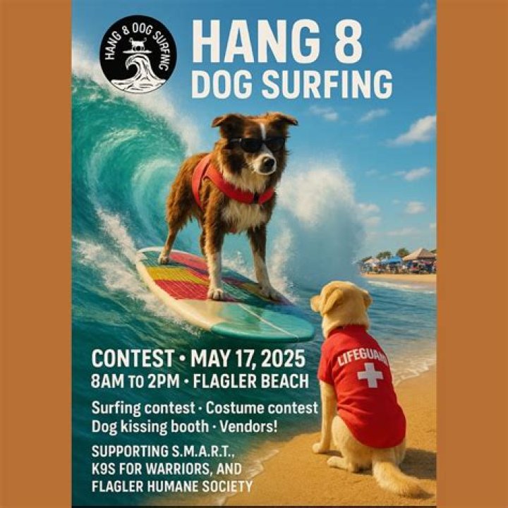 Adventure Awaits: Experience the Thrill of Hang Loose Parasail at 8 AM