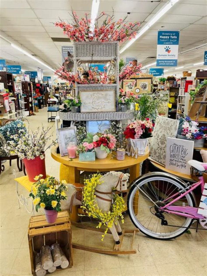 Discovering Treasures at Happy Tails Thrift Shop