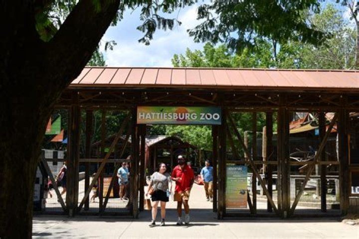 Discovering Hattiesburg Zoo in Mississippi: A Family-Friendly Adventure