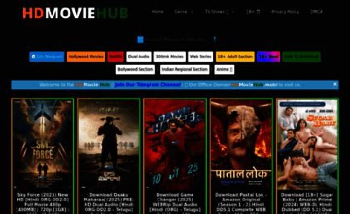 Hd Movie Hub 300MB: The Ultimate Guide to Downloading Movies in High Quality