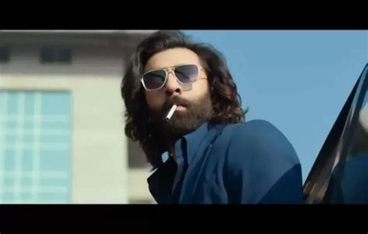 HDHub4u Animal: Your Ultimate Hub for High-Quality Animal Content