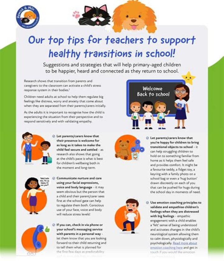 Empowering Change: The Impactful Role of Healthy Transitions Youth Advocacy