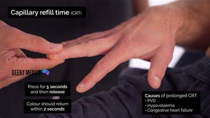 Reviving the Beat: Understanding the Hiphopisntdead Refill