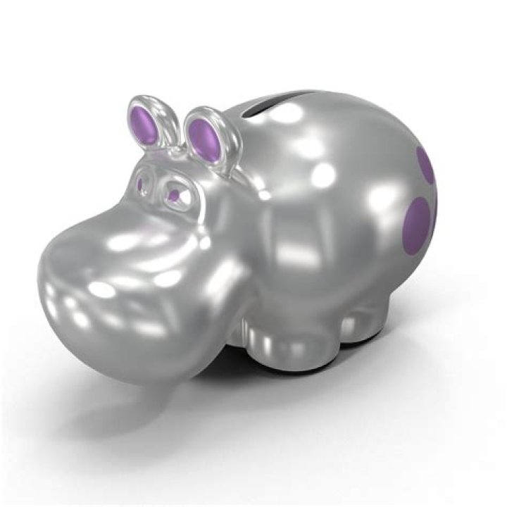 Fun Hippo Coin Bank | Unique Hippo Shape | Perfect Gift Idea