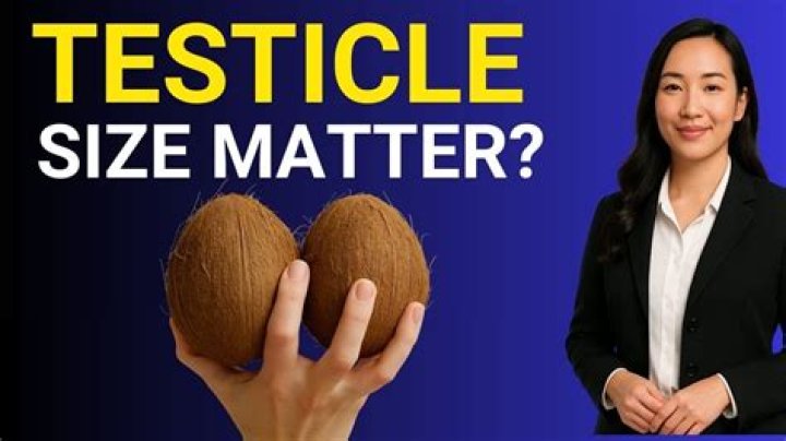 Understanding the Value of Testicles: An Unconventional Exploration