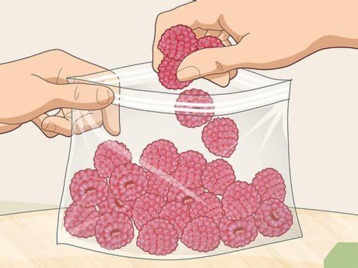 Mastering the Art of Freeze Drying Fruit: A Comprehensive Guide