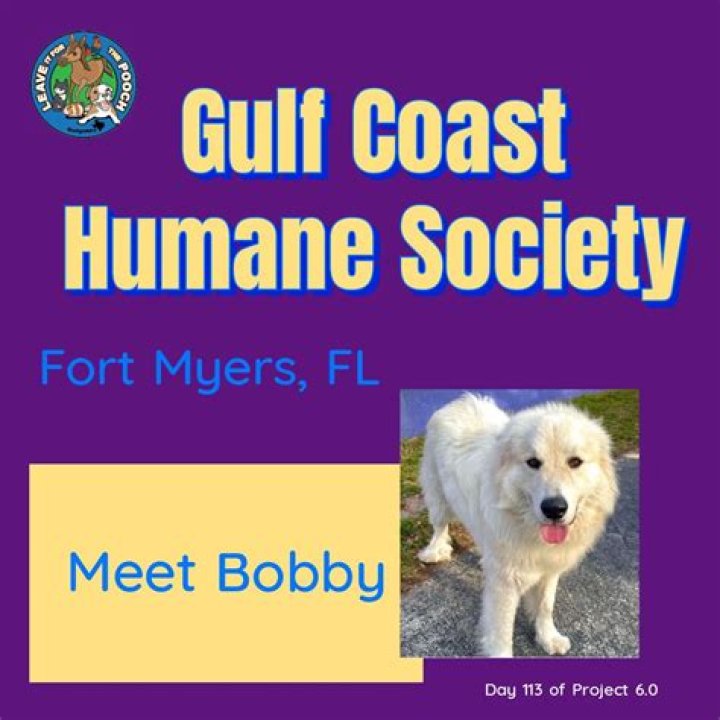 Discovering the Heart of Compassion: The Humane Society Fort Myers FL