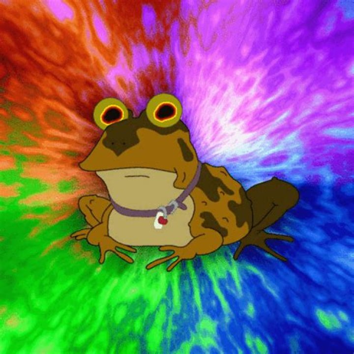 The Allure of Hypnotoad GIF: A Deep Dive into Internet Culture