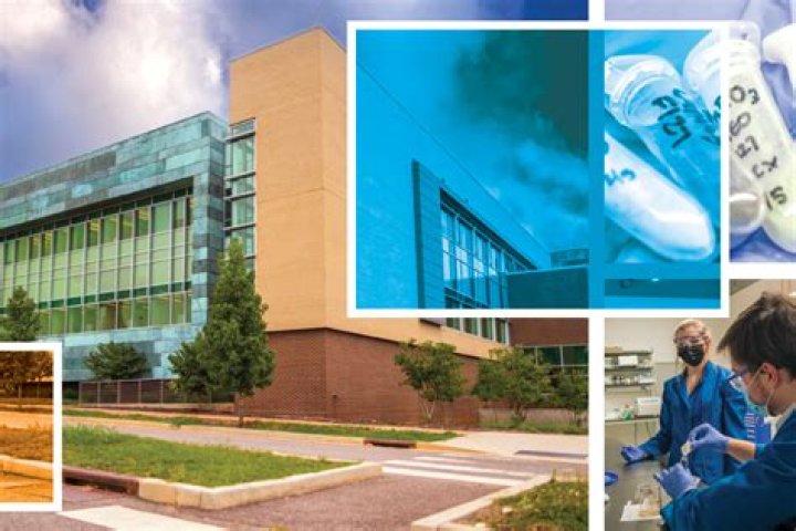 Exploring the Wonders of the iamm Building: A Modern Marvel