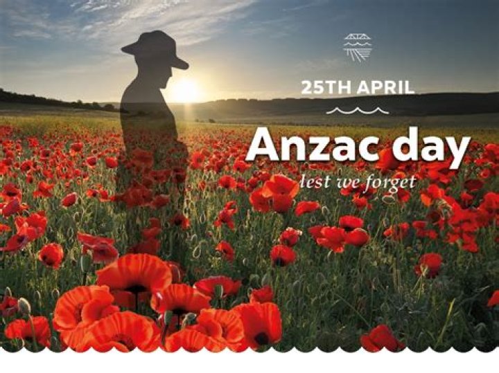 Discovering the Journey: Im Zip Weddle Today