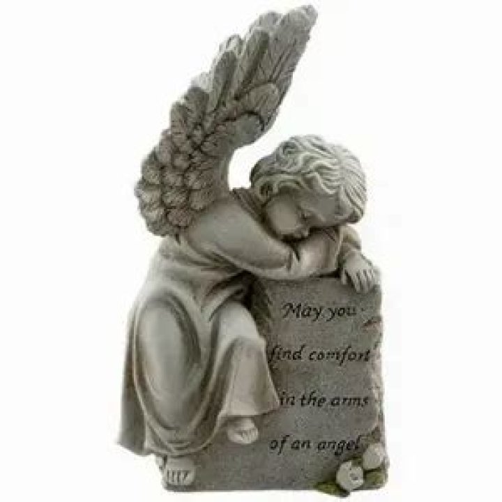 In the Embrace of an Angel: A Journey Through Love and Loss