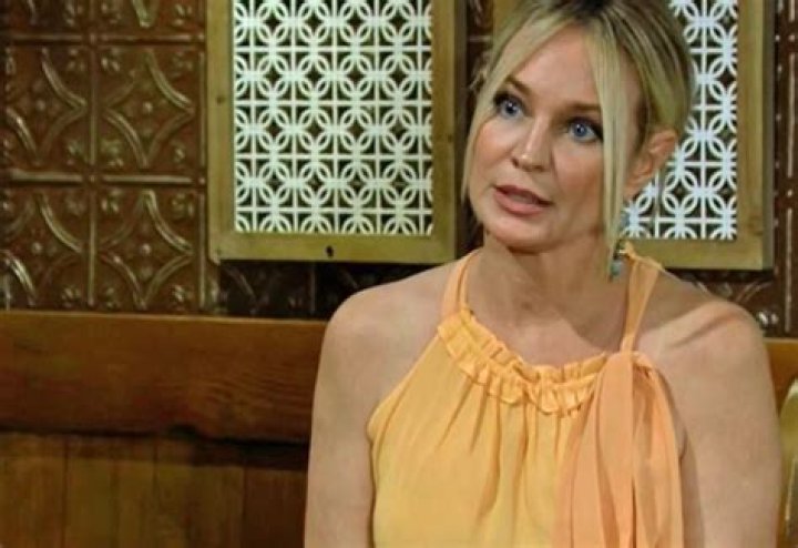 Is Sharon Case Leaving Young and the Restless? The Unfolding Drama