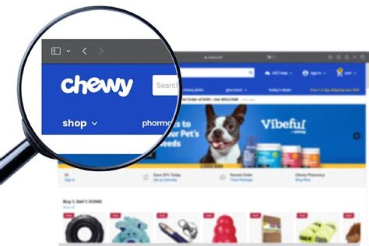 Is the Chewy Website Down Now? Find Out Here