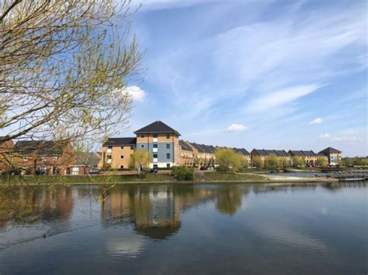 Exploring the Exciting Horizon of James Spader's Current Projects