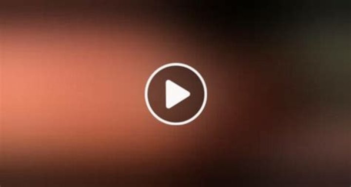 Exploring the Sweet World of Jelly Bean Brains Only