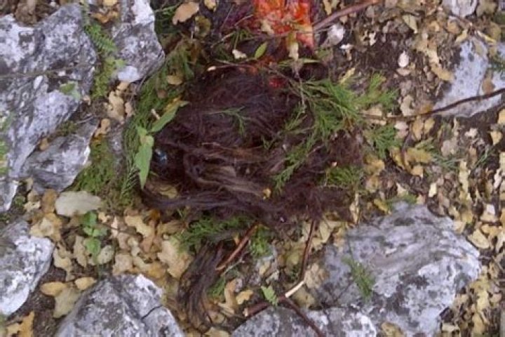 Jenni Rivera Autopsy: Unveiling the Truth Behind the Queen of Banda's Tragic End