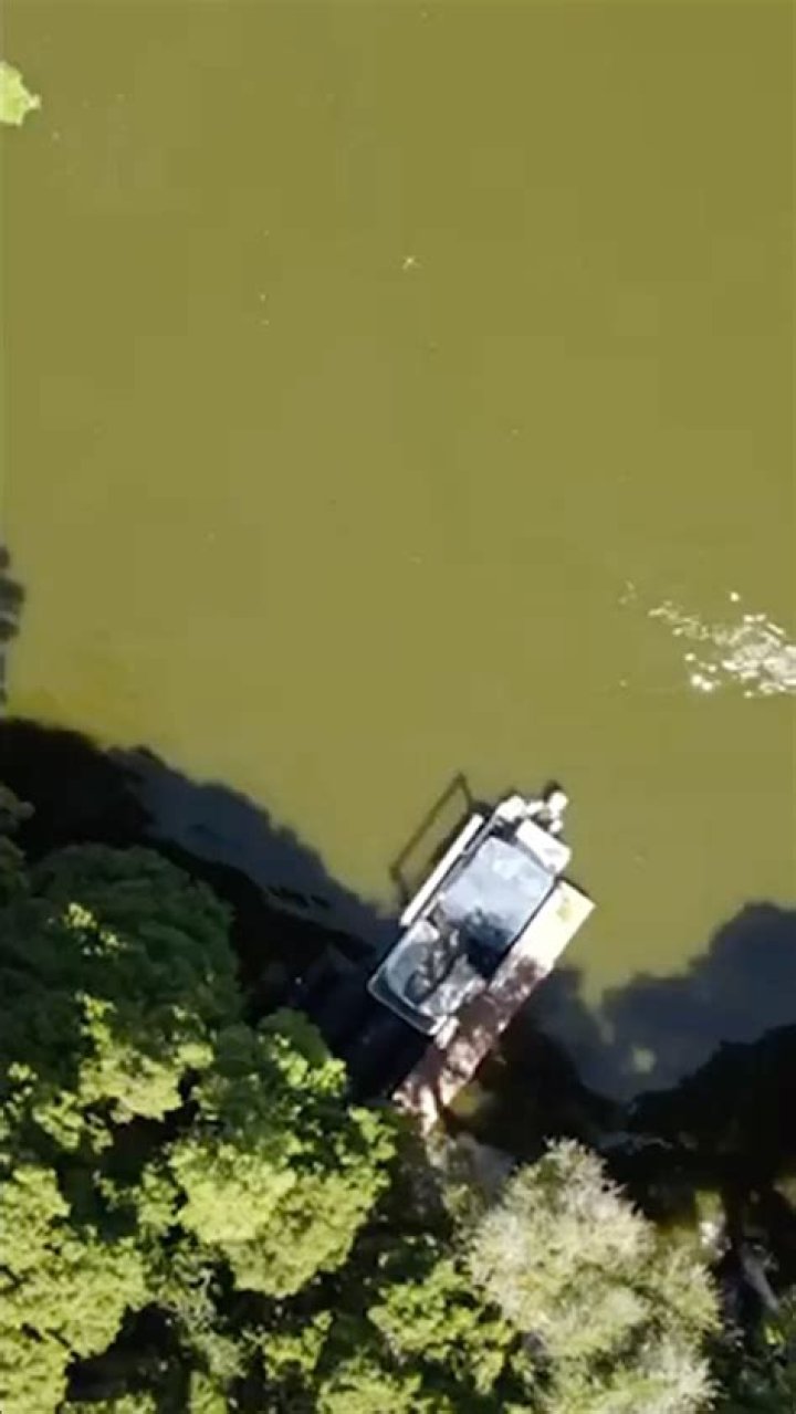 Jesse Watters' Assistant Johnny: Insights into His Role and Impact