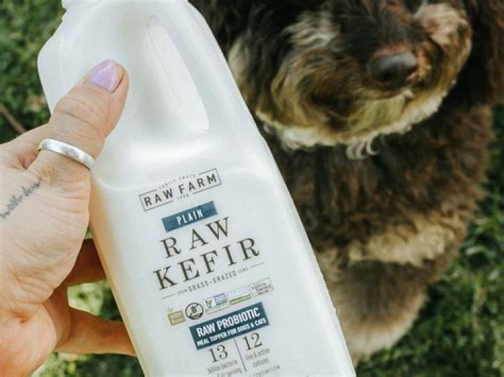 Kefir for Dogs: A Probiotic Powerhouse for Your Furry Friend