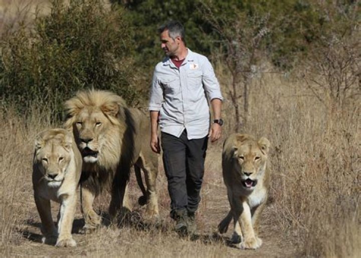 Kevin Richardson: The Lion Whisperer of South Africa