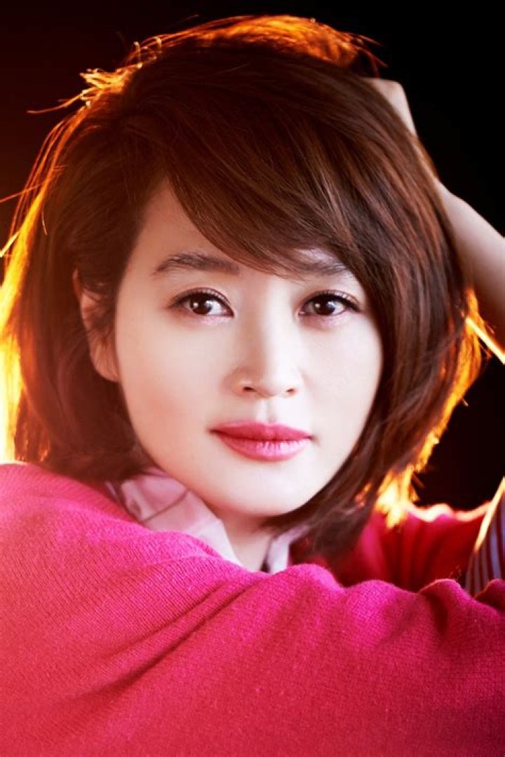 Kim Hye-Soo: The Journey of a Versatile South Korean Actress