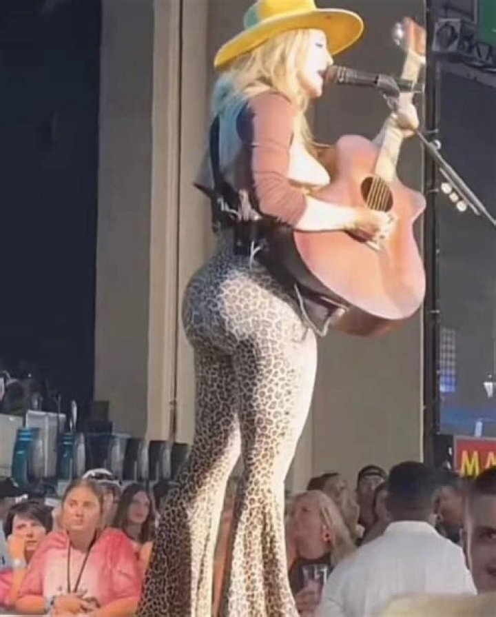 Lainey Wilson: The Rise to Fame and the "Dump Truck" Phenomenon