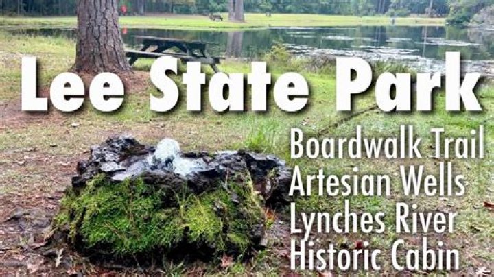 Discovering the Beauty of Lee State Park, SC