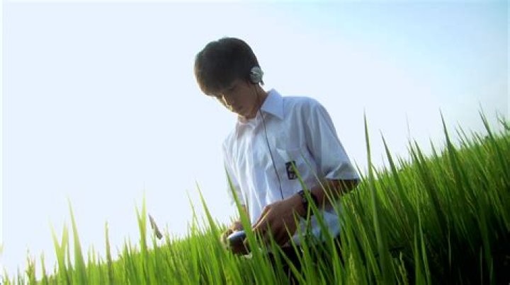 Lily Chou-Chou: A Melodic Journey Through Youth and Isolation