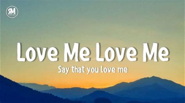 Echoes of Affection: The Meaning Behind "Love Me Love Me Say That You Love Me"