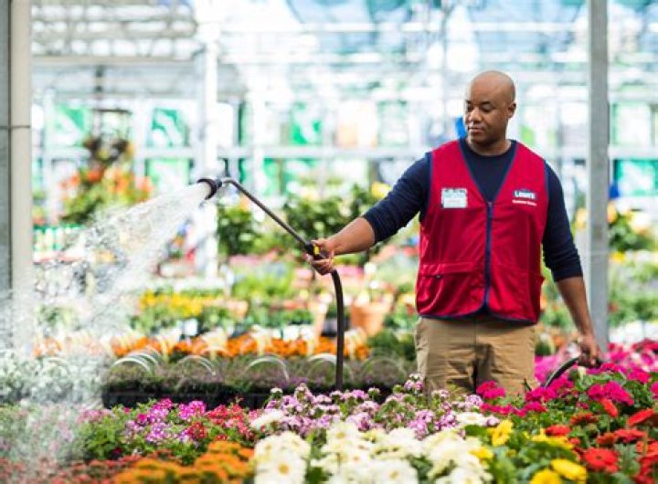 The Comprehensive Guide to Lowes Bartlesville: Discovering Everything You Need to Know
