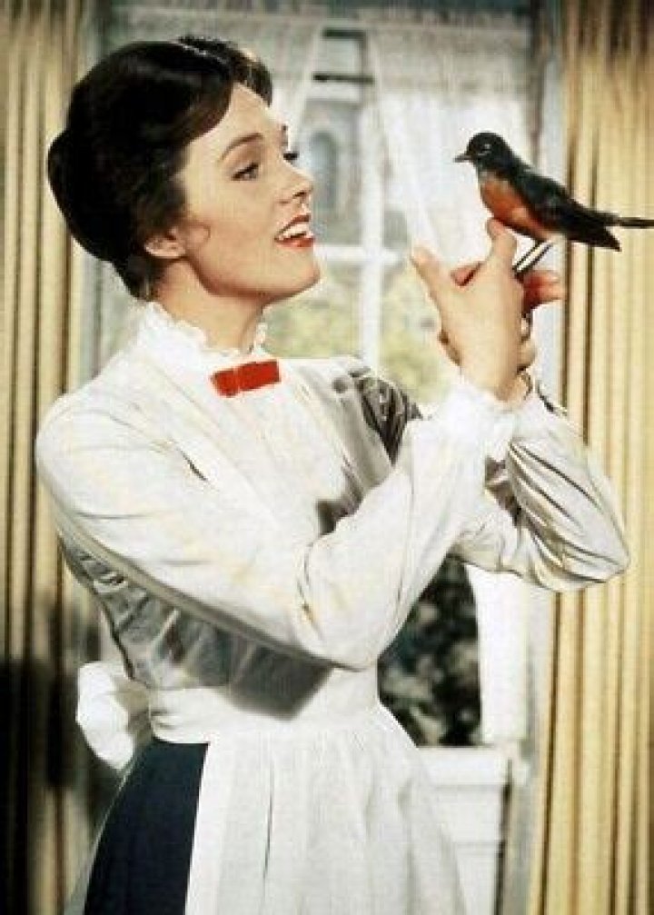 Exploring the Enchantment of the Mary Poppins Bird