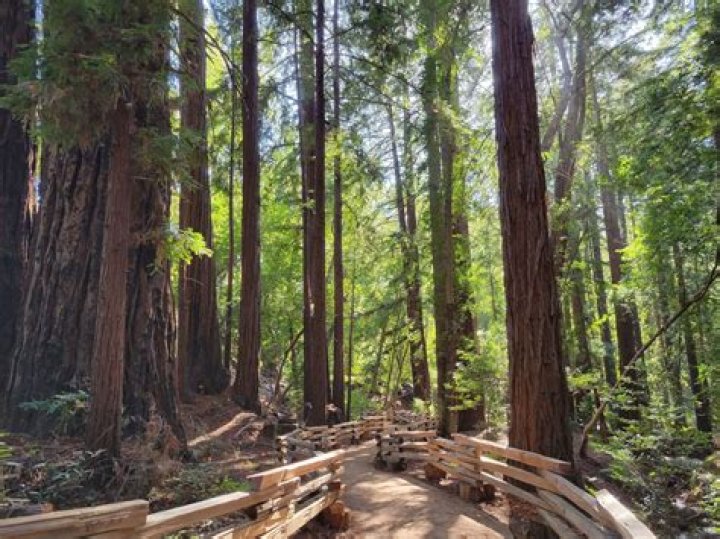 Massey Big Sur Park: A Comprehensive Guide to Nature's Gem