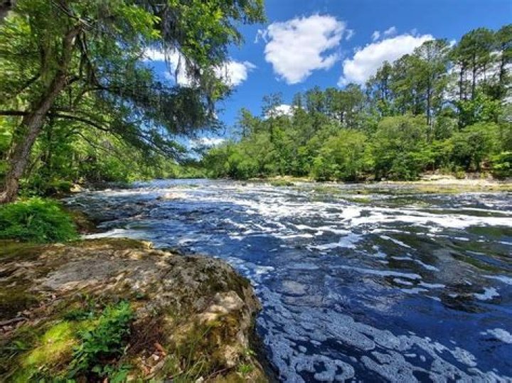 Massey State Park: A Hidden Gem for Nature Lovers