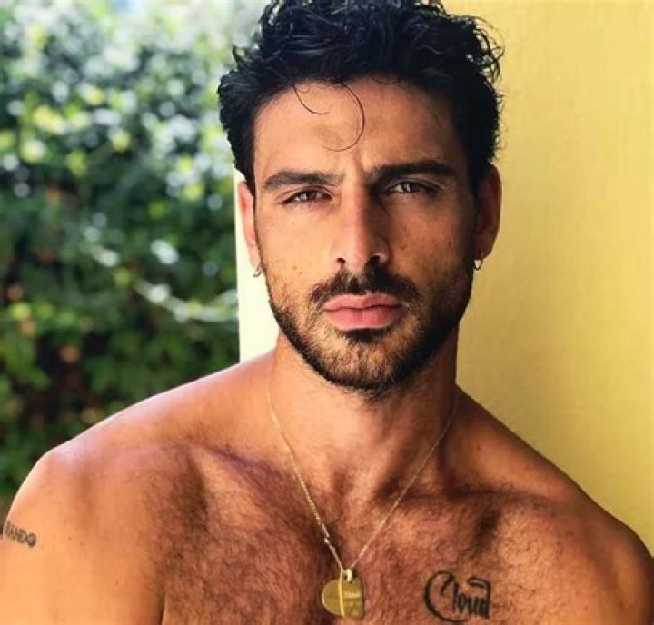 Massimo 365 Days: The Complete Guide to His Life, Career, and Impact