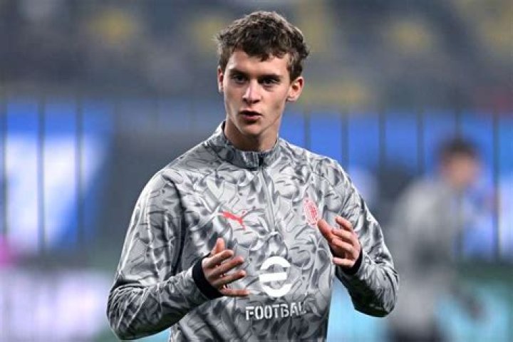 Unveiling the Legacy of Maximilian Ibrahimovic