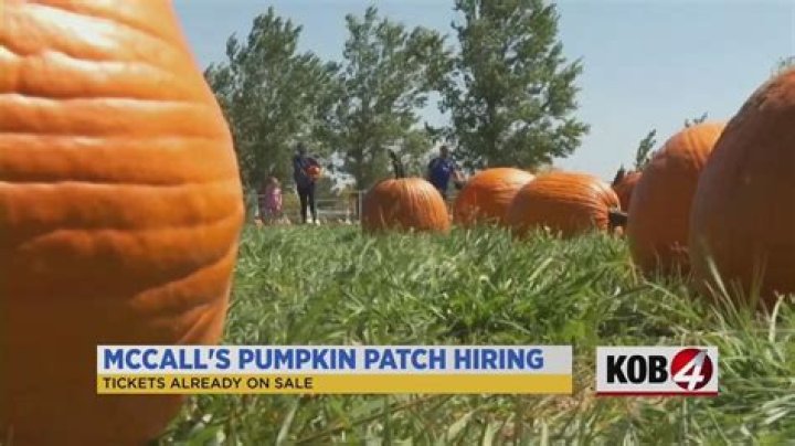 Exploring McCall's Pumpkin Patch in Moriarty: A Family-Friendly Adventure