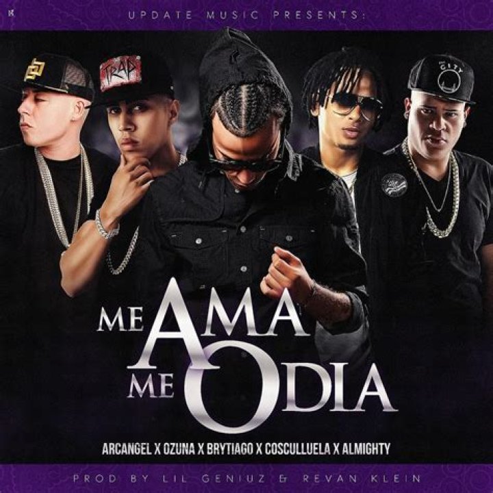 Unveiling the Meaning Behind "Me Ama Me Odia Lyrics English"