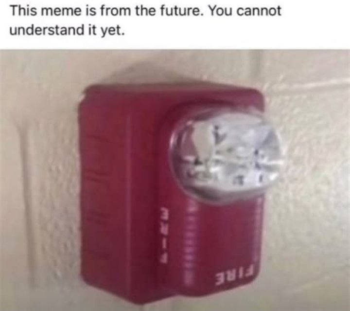 The Enigma and Impact of Meme from the Future: A Comprehensive Exploration