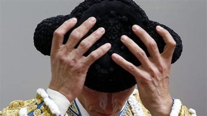 Top Monteras: Explore the Latest Models & Deals