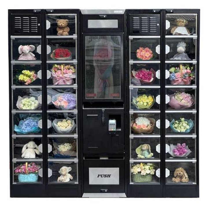 Discovering the Wonders of mvk point.com