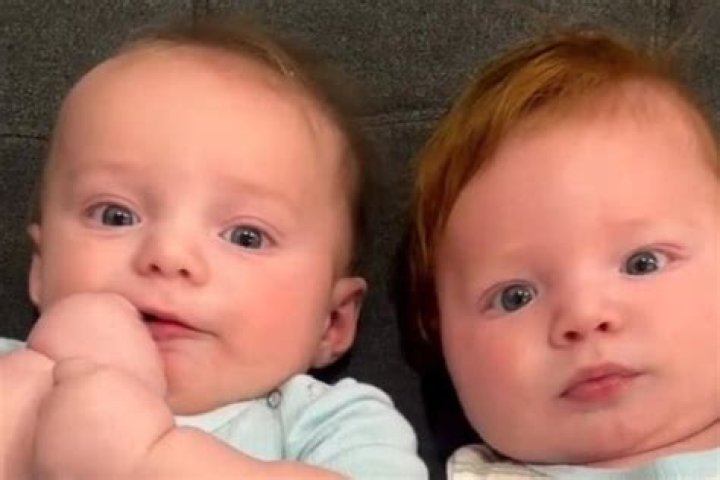 All You Need to Know About Mykelti Twins: A Comprehensive Guide