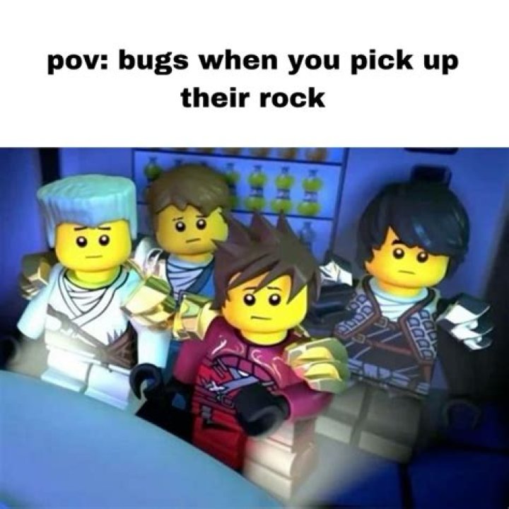 Ninjago Memes: The Laughter of the Lego Universe