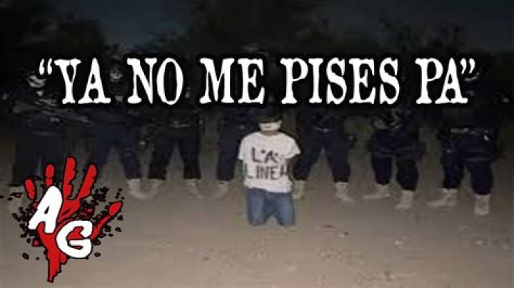 Exploring the Phenomenon of "No Me Pises Pa Video"