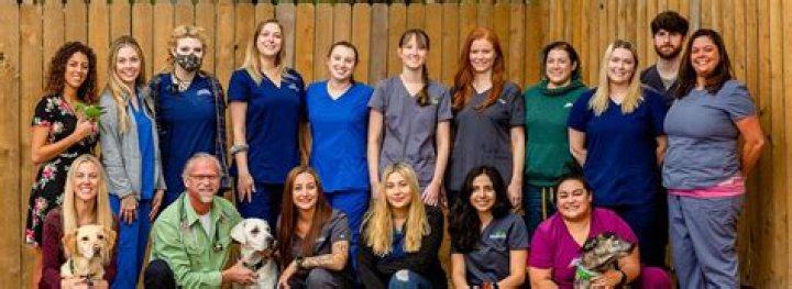 Discovering Pet Care Excellence at North Austin Animal Hospital