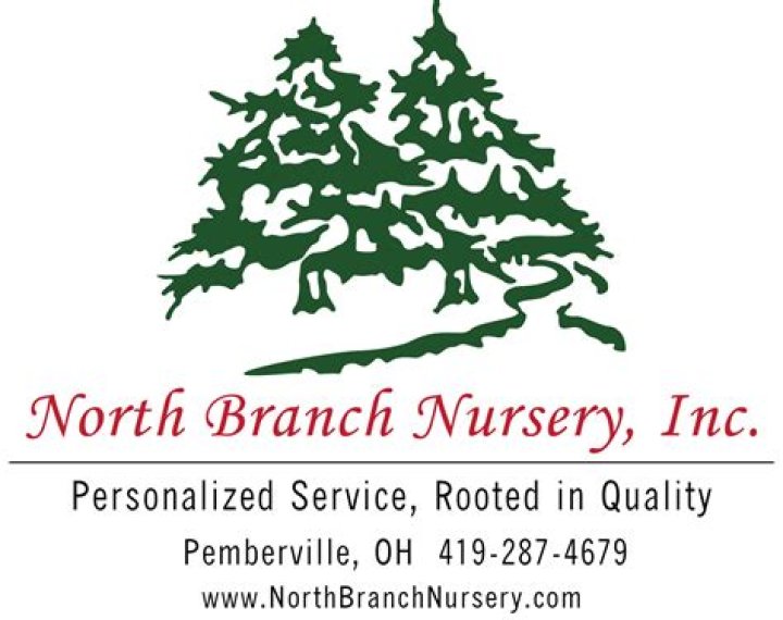 Discovering the Charm of North Branch Nursery: A Green Haven